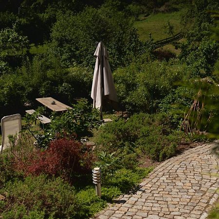 Haus Am Berzdorfer See - 3 Schlafzimmer - Ganzes Haus Zur Alleinnutzung - Terrasse - Hochwertige Ausstattung Görlitz Екстериор снимка
