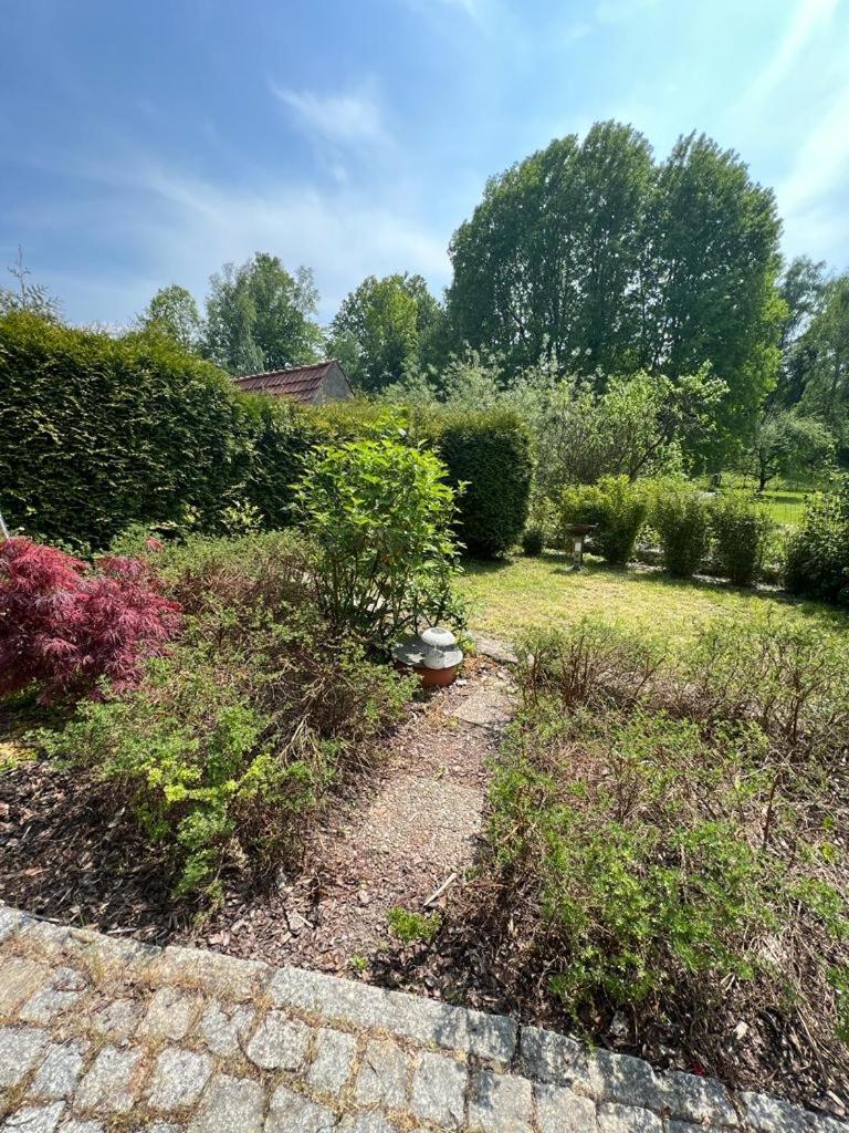 Haus Am Berzdorfer See - 3 Schlafzimmer - Ganzes Haus Zur Alleinnutzung - Terrasse - Hochwertige Ausstattung Görlitz Екстериор снимка