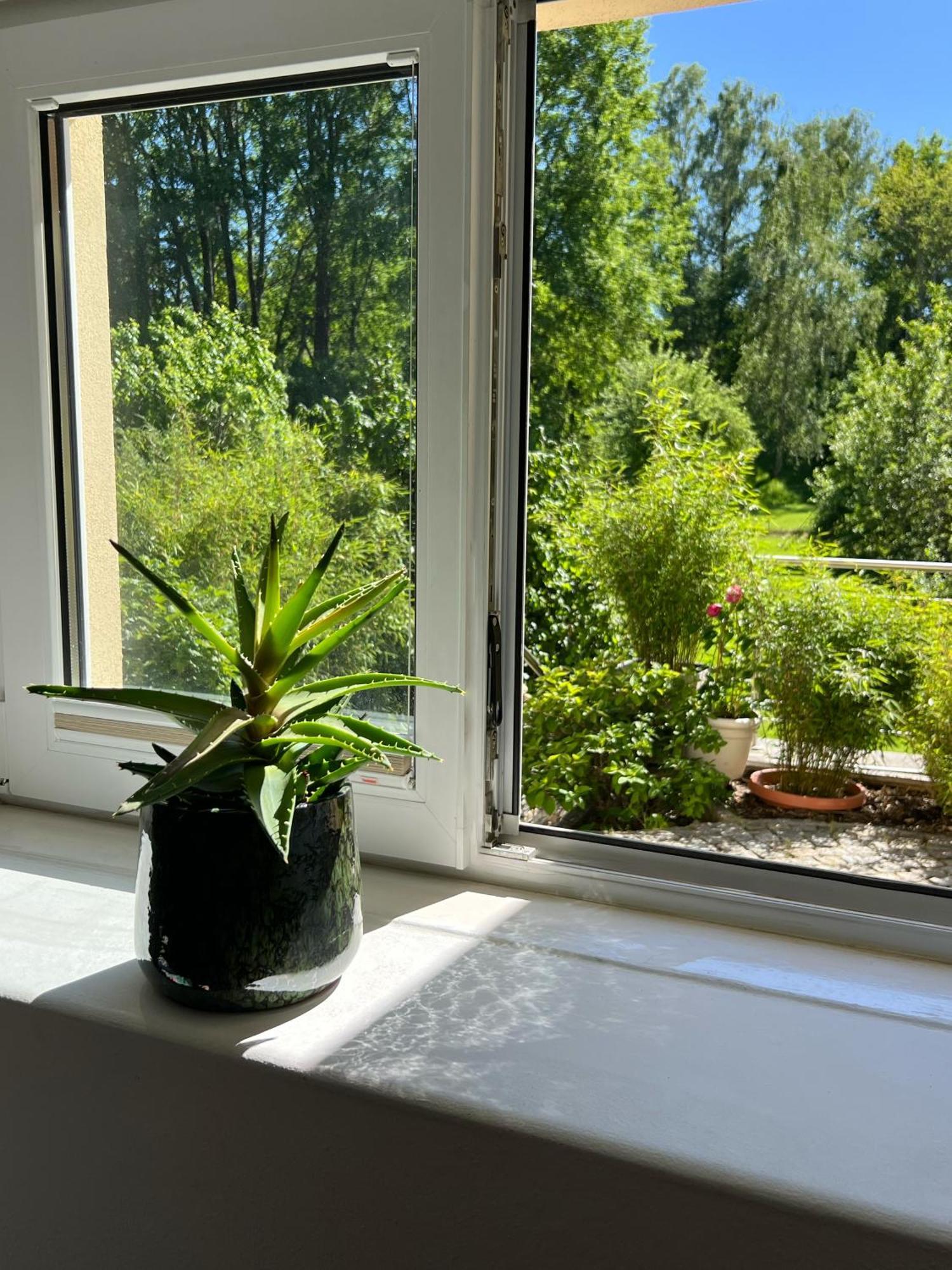 Haus Am Berzdorfer See - 3 Schlafzimmer - Ganzes Haus Zur Alleinnutzung - Terrasse - Hochwertige Ausstattung Görlitz Екстериор снимка